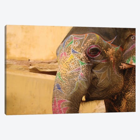 Elephant India Canvas Print #BVB88} by Babette Van den Berg Canvas Wall Art