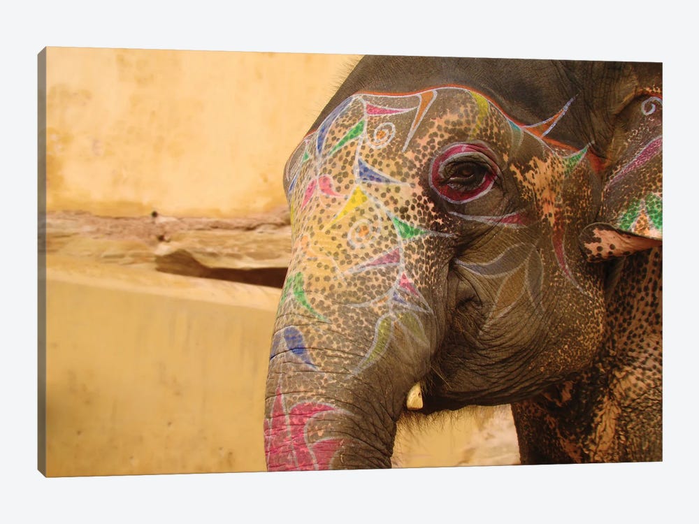 Elephant India by Babette Van den Berg 1-piece Canvas Art Print