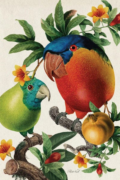 Parrots: Father And Daughter by Beto Val