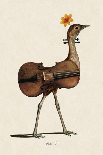Violins: Musical Bird by Beto Val