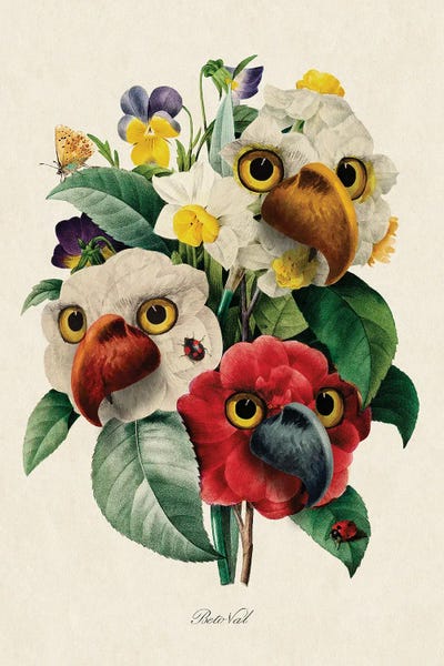 Vintage Animal Illustrations: Parrot Flower by Beto Val