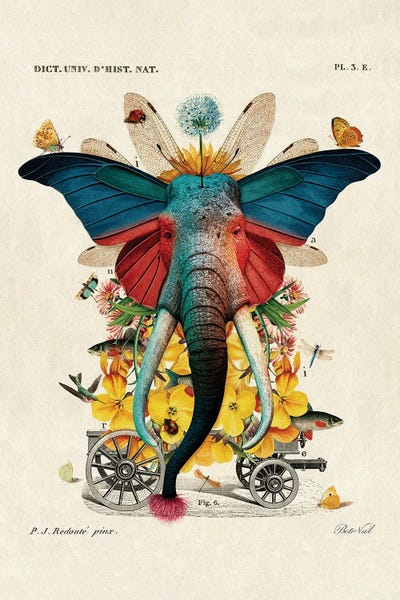 Vintage Animal Illustrations: Maripofante by Beto Val