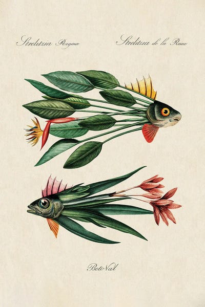 Botanical Illustrations: Leaf Fish by Beto Val