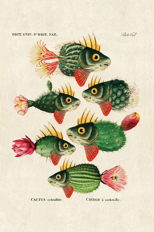 Cactus Fish by Beto Val wall art