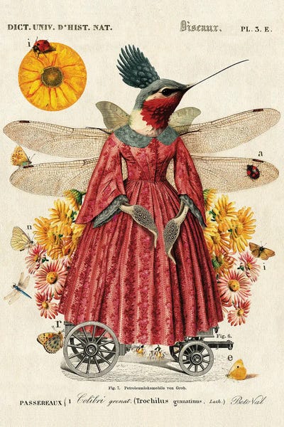 Dragonflies: Queen Margaret by Beto Val