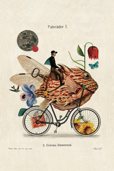 Vintage Animal Illustrations: Fish Cycle by Beto Val