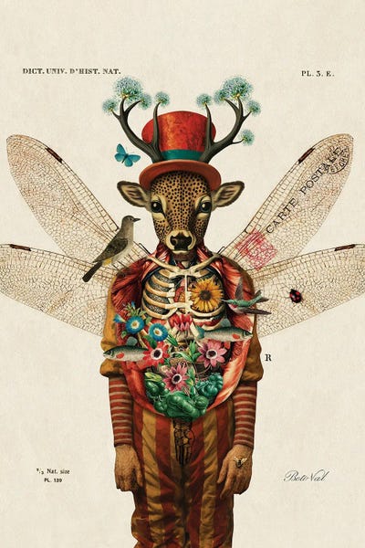 Vintage Animal Illustrations: Circus Man by Beto Val