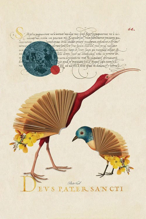 Book Birds by Beto Val wall art