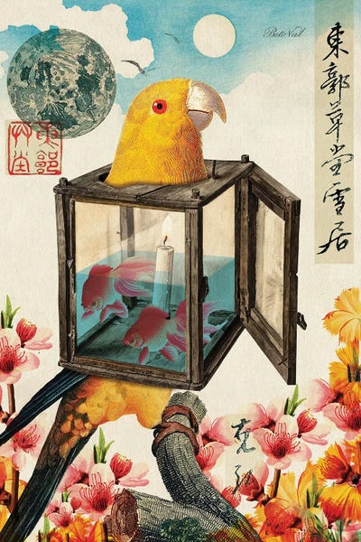 Parrots: Streetlight Bird by Beto Val