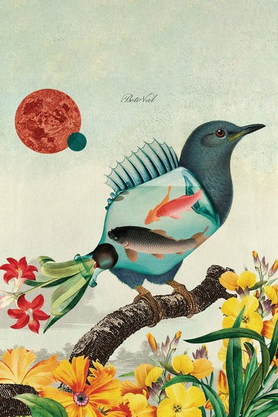 Beto Val: Aquarium Bird by Beto Val