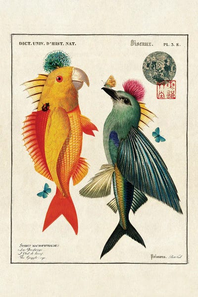 Fish Birds by Beto Val canvas print