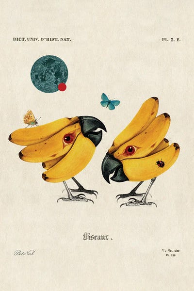 Bananas: Banana Birds by Beto Val