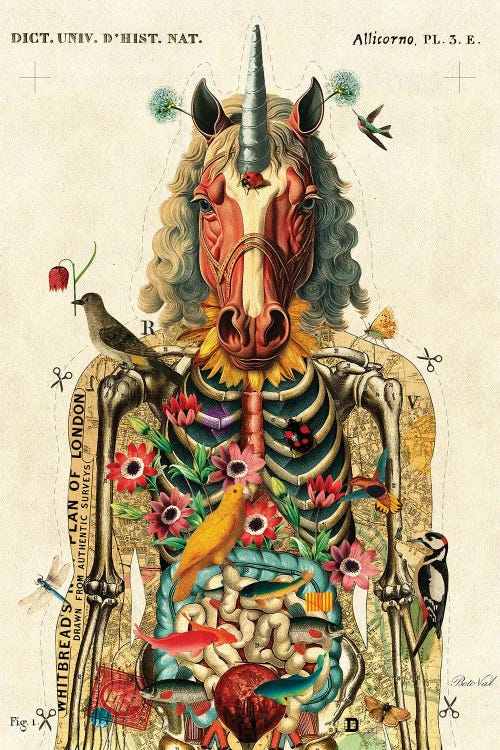 Unicorn