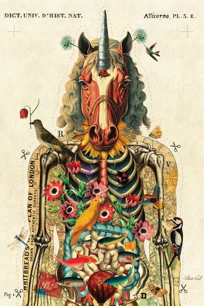 Unicorns: Unicorn by Beto Val