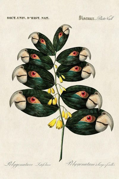 Vintage Animal Illustrations: Parrot Branch by Beto Val