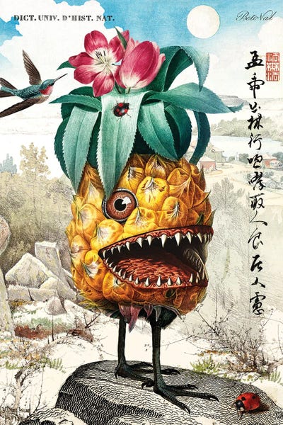 Monsters: Pineapple Monster by Beto Val