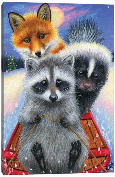 Hang On! Canvas Art Print - Raccoon Art