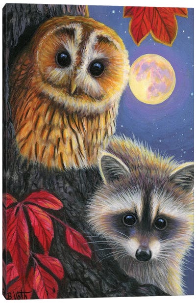 Moonlight Friends Canvas Art Print - Raccoon Art