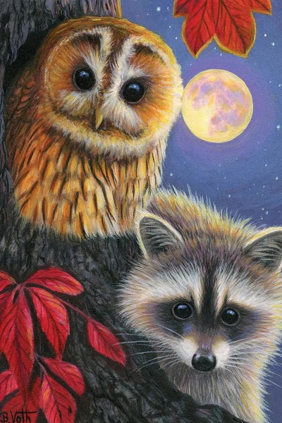 Raccoons: Moonlight Friends by Bridget Voth