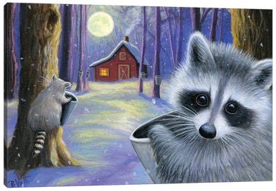 Sugar Moon Canvas Art Print - Raccoon Art