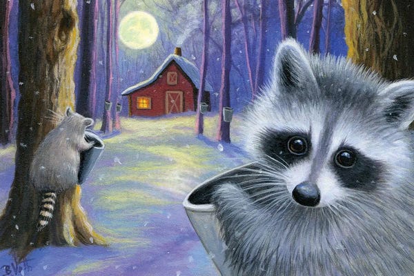 Raccoons: Sugar Moon by Bridget Voth
