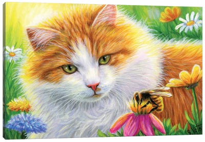 A Buzz For Butterscotch Canvas Art Print - Orange Cat Art
