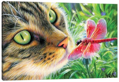 The Red Dragonfly Canvas Art Print - Tabby Cat Art