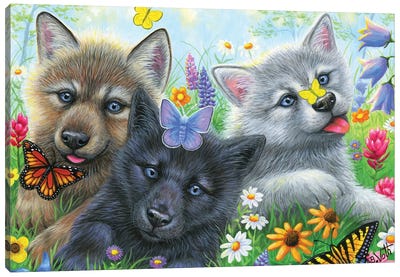 Butterfly Delight Canvas Art Print - Siberian Husky Art