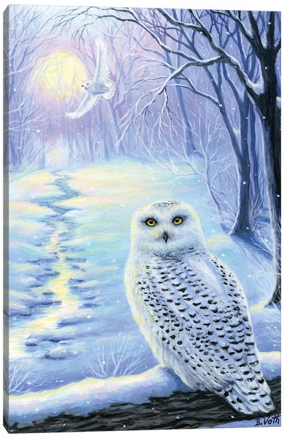 Winter Silence Canvas Art Print