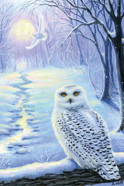 Canvas Print: Winter Silence by Bridget Voth