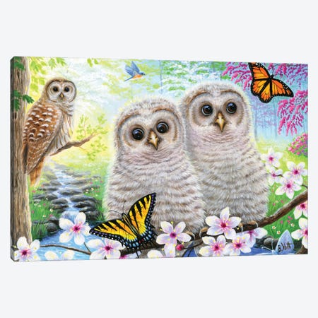 Spring Owlets Canvas Print #BVT364} by Bridget Voth Canvas Artwork