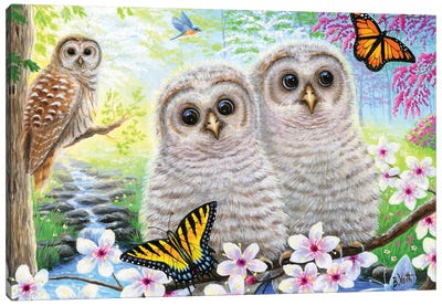 Spring Owlets Canvas Art Print - Jay Art