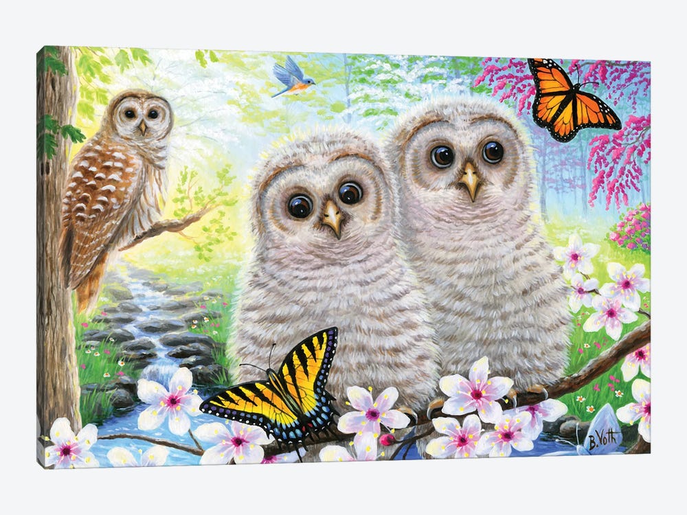 Spring Owlets by Bridget Voth 1-piece Canvas Wall Art