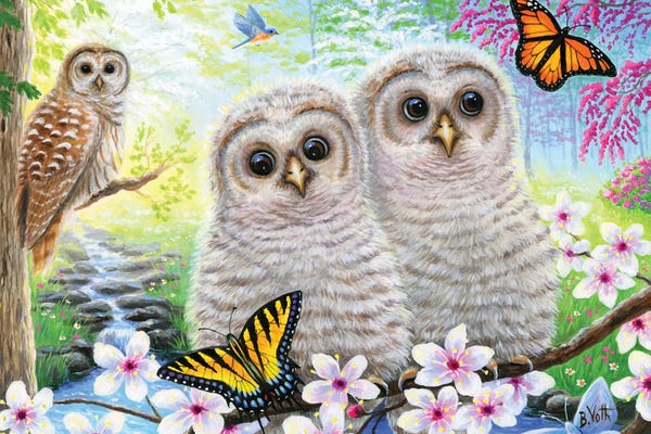 Canvas Print: Spring Owlets by Bridget Voth