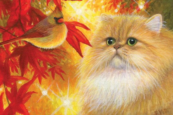 Persians: Amelia's Little Autumn Friend by Bridget Voth