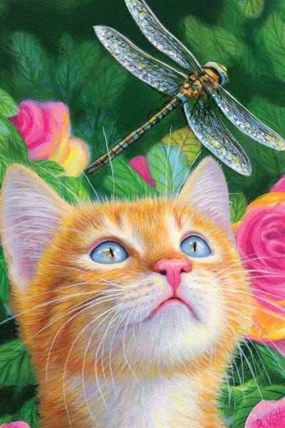 Dragonflies: A Dragonfly For Dante by Bridget Voth