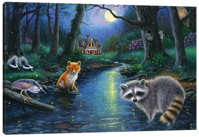 At Firefly Creek Canvas Art Print - Raccoon Art