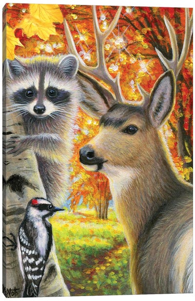 Autumn In The Woods Canvas Art Print - Raccoon Art