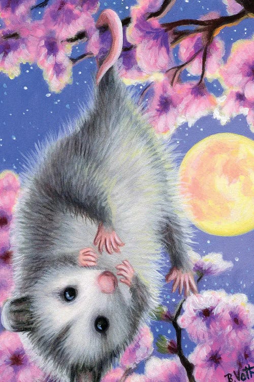 Blossom Possum by Bridget Voth wall art