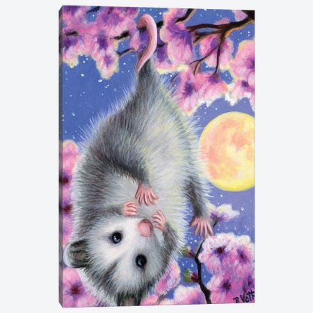 Blossom Possum Canvas Print #BVT75} by Bridget Voth Canvas Artwork