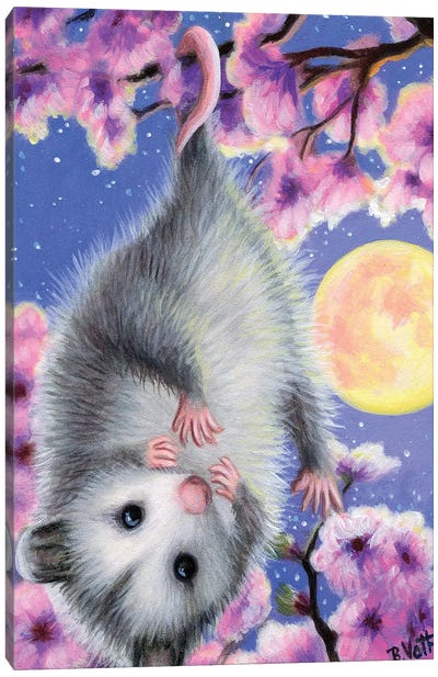 Blossom Possum Canvas Art Print - Cherry Blossom Art