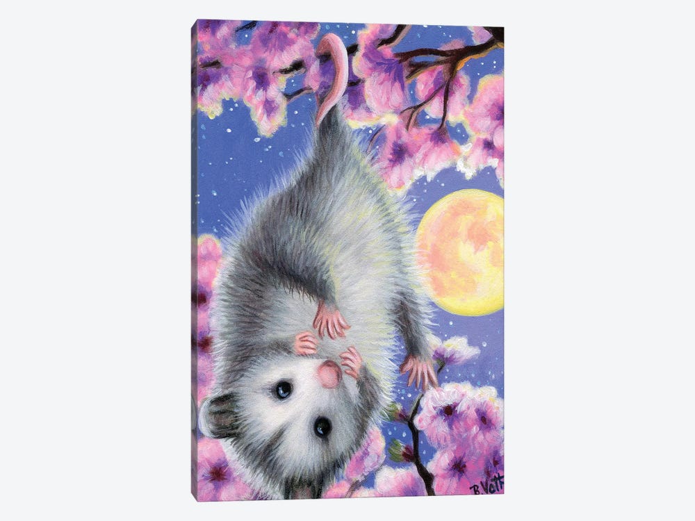 Blossom Possum by Bridget Voth 1-piece Canvas Wall Art