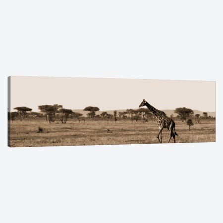 Serengeti Horizons II Canvas Print #BWA36} by Boyce Watt Canvas Art