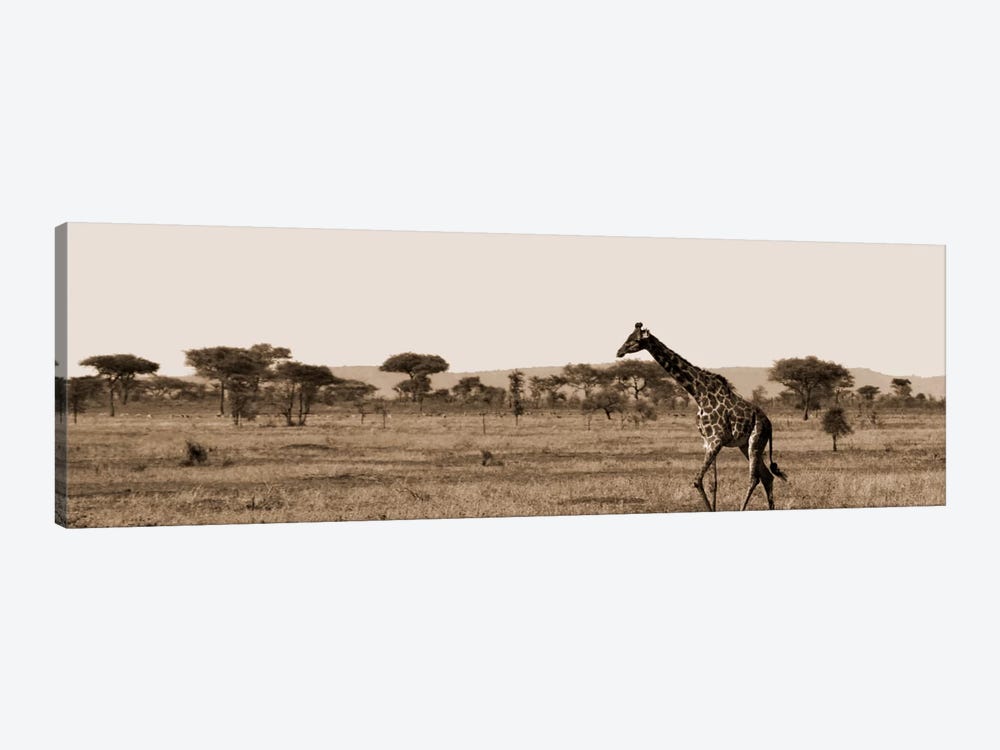 Serengeti Horizons II by Boyce Watt 1-piece Canvas Artwork