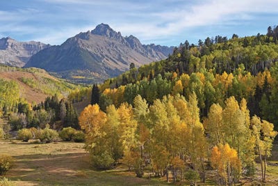 Dallas Divide by Brian Wolf canvas print