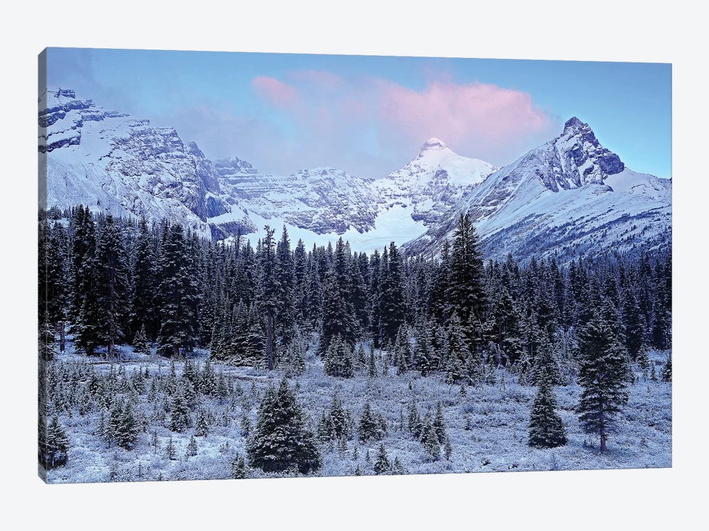 Early Mountain Light by Brian Wolf 1-piece Canvas Print