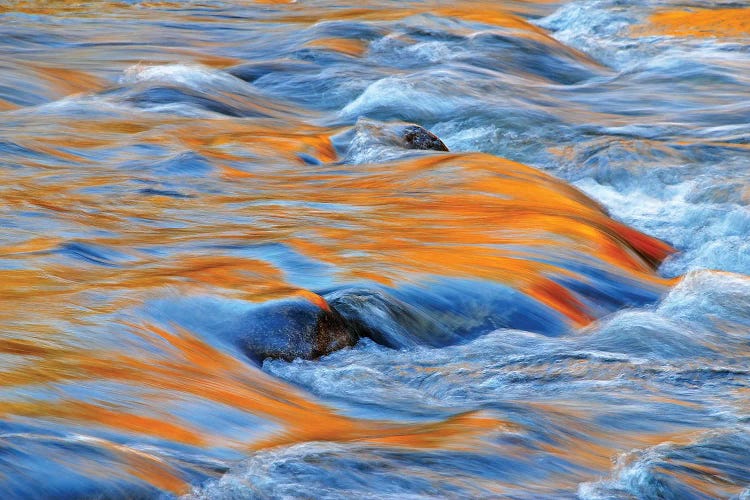 Fast Water Reflections by Brian Wolf wall art