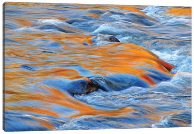 Fast Water Reflections Canvas Art Print - Water Art