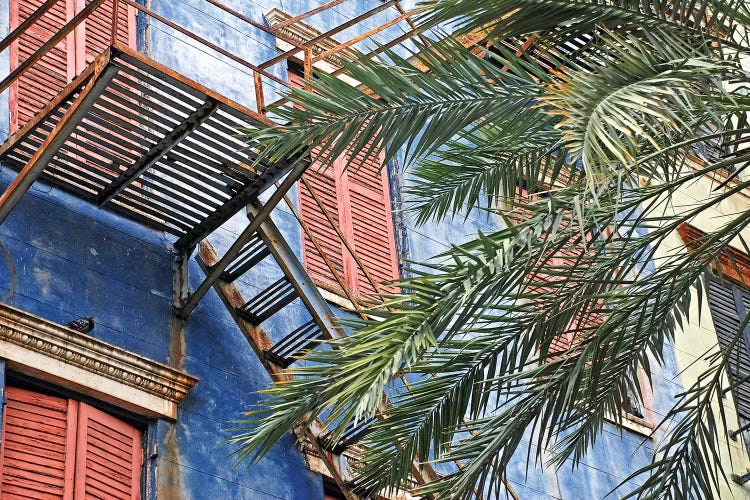 Fire Escape by Brian Wolf wall art