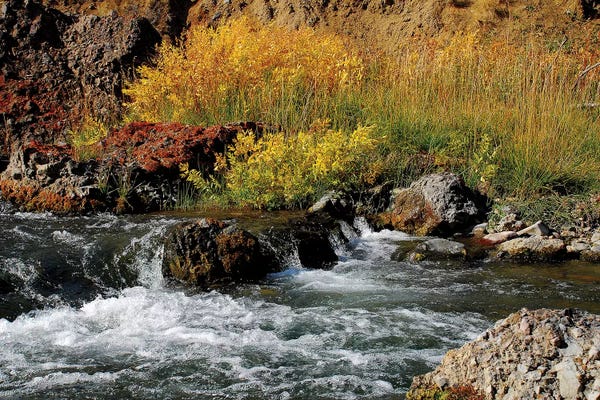 Wyoming: Gardner River by Brian Wolf